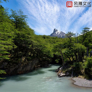 日本人真人性交做爱视频免费看
